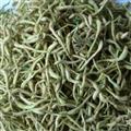 金银花 金银花青花统货 产地 河南省