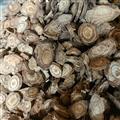 野生葛根片新貨無硫熏批發(fā)零售均可2025
