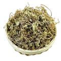積雪草 積雪草統(tǒng)貨 產(chǎn)地 貴州省黔西南布依族苗族自治州興義市