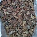 诺源药材行阿魏 臭阿魏  另有草阿魏
