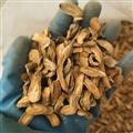 諾源藥材行牛蒡根 牛蒡茶 藥食同源優(yōu)質花茶
