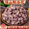 秦嶺山區(qū)道地款冬花 正品九九花 蜜款冬花 新貨精選