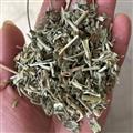 新辉药业中药材罗摩 天浆壳  萝藦 婆婆针线包 