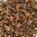 八角大茴 優(yōu)質(zhì)無硫大茴香 貨干顏色好 無碎 大統(tǒng) 產(chǎn)地 廣西壯族自治區(qū)
