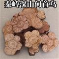 秦岭山区道地野生何首乌片 生何首乌 新货精选日晒无硫