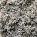 茵陳 山東綿茵陳【前中期貨】【優(yōu)質過篩無沫】灰綠色統(tǒng)段 產(chǎn)地 山東省
