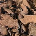 鎖陽 【地毛球 金鎖陽】鎖陽選片1.5-2.5 產(chǎn)地 新疆維吾爾自治區(qū)