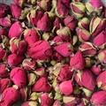 月季花 【月月紅 四季花】【顏色好 新貨】月季花大朵統(tǒng)貨 產(chǎn)地 山東省