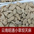 云南小草坝天麻