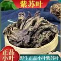 秦嶺山區(qū)道地野生小葉紫蘇葉 新貨精選