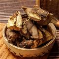 秦嶺山區(qū)道地野生托莫根 托摩根 托膜根 拖莫根脫莫根托莫根 覆盆子根