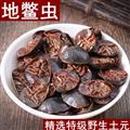 【精选大个】秦岭山区道地土元 土鳖虫 地鳖虫 新货无硫