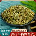 秦嶺山區(qū)道地瞿麥 山瞿麥 石竹子花巨麥曲麥翟麥