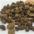 山慈菇 無硫山慈菇 產(chǎn)地 北京市