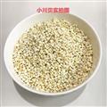 川貝母 川松貝水洗精選小珍珠0.6 產(chǎn)地 四川省攀枝花市東區(qū)