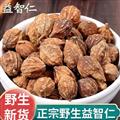 秦岭山区道地益智仁 新货精选日晒