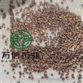 莱菔子 炒莱菔子统货 地道药材 干净无杂质 7天无理由退货 产地 四川省