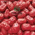 藥用大棗 皮皮棗 萬信藥業(yè) 無蟲蛀無霉變 有肉 產(chǎn)地 新疆維吾爾自治區(qū)