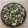 益母草 益母草綠色統(tǒng)段 產(chǎn)地 山東省