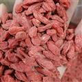 精選枸杞 天一百草藥業(yè) 青海枸杞380 純干不粘手 顏色好 產(chǎn)地 青海省