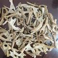 新輝藥業(yè)刺猬骨 刺猬皮 刺猬針