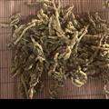 黃連 黃連單枝統(tǒng)貨 產(chǎn)地 四川省