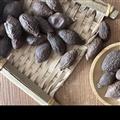 胖大海 胖大海長粒統(tǒng)貨 產地 海外