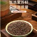 紫蘇子 精選紫蘇子 無硫過篩無雜 產(chǎn)地批發(fā) 誠信做人 良心做藥