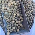 新輝藥業(yè)沒食子 沒石子 無余子