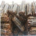 蜈蚣 越南蜈蚣12-13厘米 承诺不拼接 不掺假 纯大条 竹签穿起足干大条 产地批发 诚信做人 良心做药