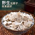 精選東海瓦楞子 新貨日曬500g