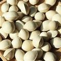 白果 精品帶皮白果 天一百草藥業(yè) 無蟲蛀霉變 誠信經(jīng)營  產地 山東省
