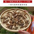 羊肚菌 正品野生羊肚菌 高山采摘 拒絕假貨 正品保證 誠信做人 良心做藥