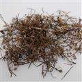 白花蛇舌草 天一百草药业  白花蛇舌草家种统货 干净无杂质 诚信经营  产地 江西省