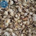 中药材菊花 精品菊花新货颜色好 白菊花各种规格 产地 河北省