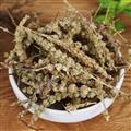 荊芥穗 荊芥穗精選貨 干凈過篩飽滿 產(chǎn)地批發(fā) 誠信做人 良心做藥