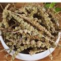 荊芥穗 荊芥穗統(tǒng)貨 新貨過篩 產(chǎn)地批發(fā) 誠信做人 良心做藥