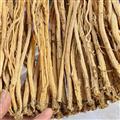 黨參 無硫黨參個(gè) 產(chǎn)地 甘肅省 產(chǎn)地直銷 質(zhì)量保證