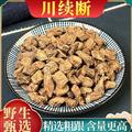 秦嶺山區(qū)道地川續(xù)斷 續(xù)斷 新貨精選日曬泡水正品