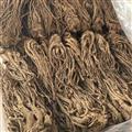 當歸 無硫當歸選個 產(chǎn)地 甘肅省 質(zhì)量保證 量大從優(yōu)