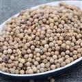 胡椒 白胡椒 越南進(jìn)口白胡椒 高含量 一等品胡椒 誠(chéng)信做人 良心做藥
