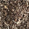 白頭翁 白頭翁好統(tǒng)貨 產地批發(fā) 真品貨 誠信做人 良心做藥