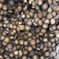 化橘紅 化橘紅小個 產(chǎn)地 廣東省茂名市化州市