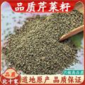 秦岭山区道地芹菜籽 正品芹菜子 新货精选