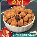 秦嶺山區(qū)道地益智仁 正品益智仁 新貨精選