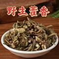 秦岭山区道地藿香 正品广藿香 新货精选