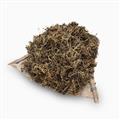 馬齒莧 純野生馬齒莧 產(chǎn)地直營(yíng) 大貨批發(fā) 誠(chéng)信做人 良心做藥
