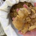 諾源藥材行中藥材優(yōu)質(zhì)黃精  無硫黃精 多種規(guī)格