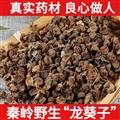 秦嶺山區(qū)道地野生龍葵果 正品龍葵子 新貨精選
