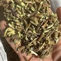 石椒草产地云南 新货石椒草石胡椒